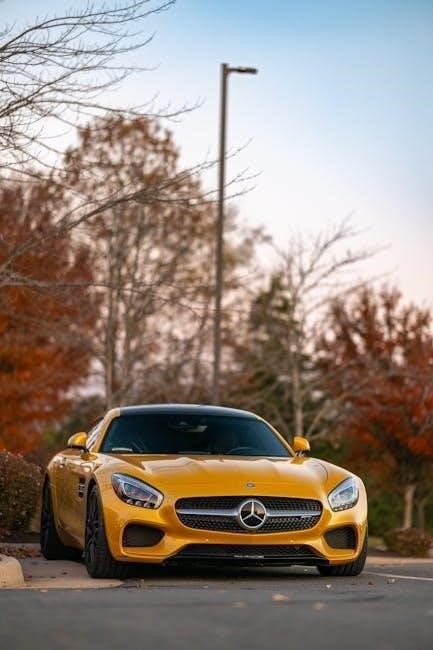 potato bag instructions